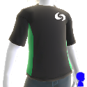 DSF/SIF T-Shirt (Male)